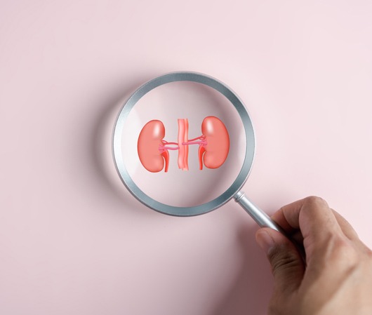 Triplex Νεφρικών Αρτηριών